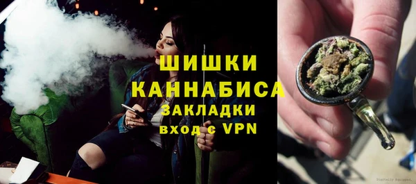 шишки Арсеньев