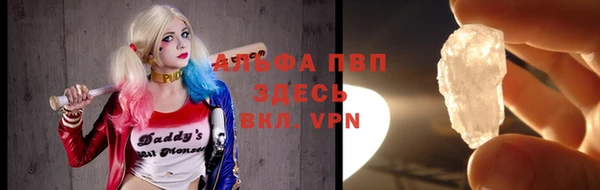 apvp Алзамай