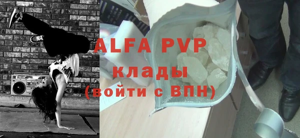 шишки Арсеньев