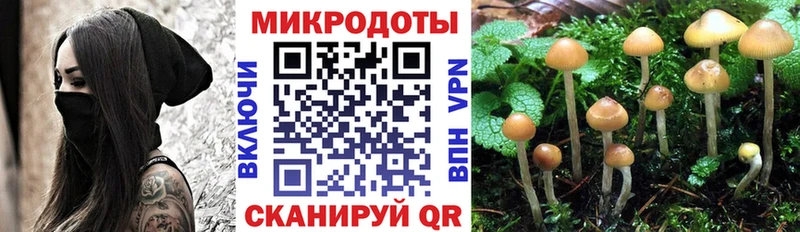 Галлюциногенные грибы MAGIC MUSHROOMS  где найти   Лахденпохья 